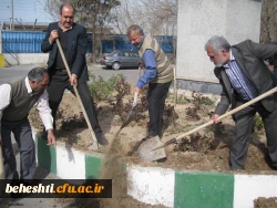 گلکاری بهشتی