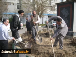 گلکاری بهشتی