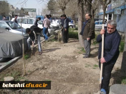 گلکاری بهشتی