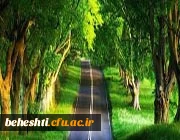 تنها راه خوشبختی اینجاست!