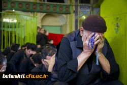 فاطمه گشانی