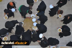 هادی علیمحمدی