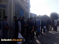 بازگشت کاروان عشق از کربلای معلی 4