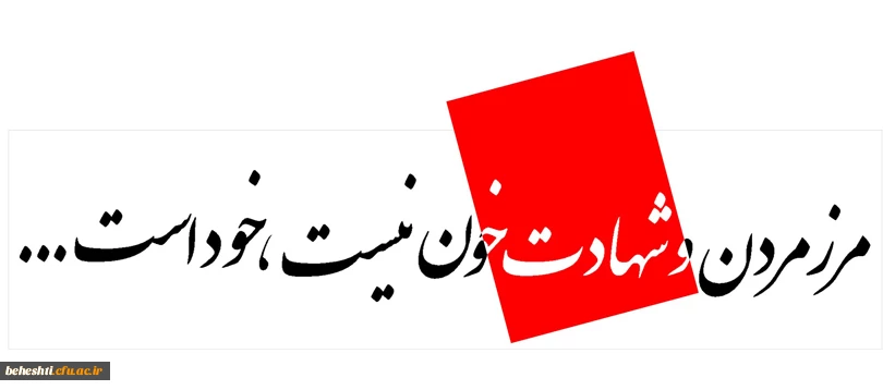 مرز مردن و شهادت خون نیست،خود است ... 3