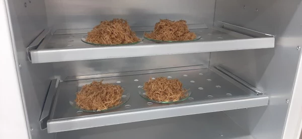 استخراج نانوذرات آمورف سیلیس(SiO2) از شلتوک برنج مطابق با استاندارد های شیمی سبز در دانشگاه فرهنگیان 4