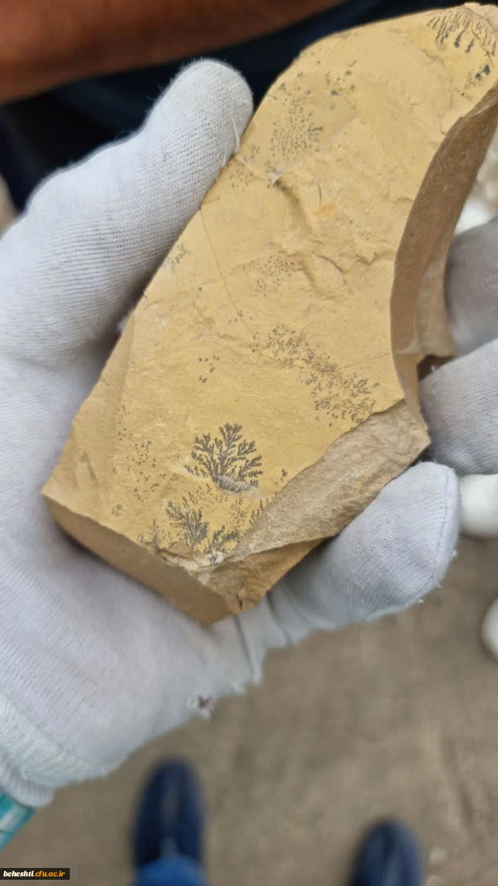 بازدید علمی زمین شناسی دانشجومعلمان, از مسیر جاده هراز و آتشفشان دماون 4