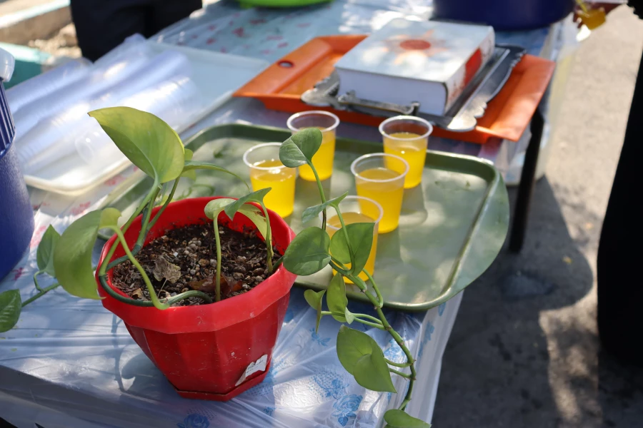 بدرقه کاروان اربعین حسینی 3