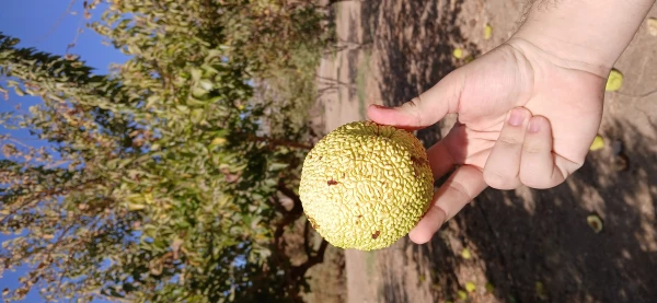 برگزاری اردوی آموزشی از باغ ملی گیاه شناسی ایران 3