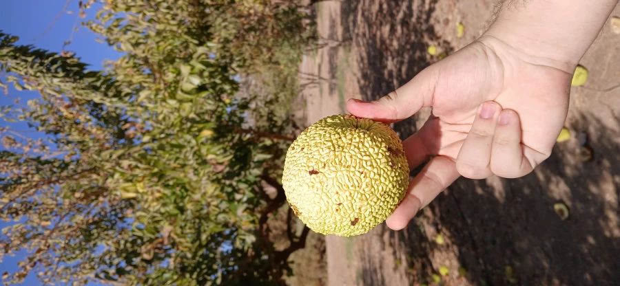 برگزاری اردوی آموزشی از باغ ملی گیاه شناسی ایران 3