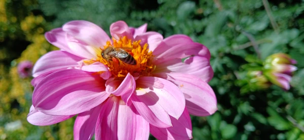 برگزاری اردوی آموزشی از باغ ملی گیاه شناسی ایران 4