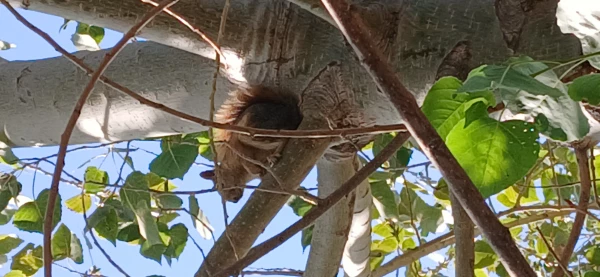 برگزاری اردوی آموزشی از باغ ملی گیاه شناسی ایران 7