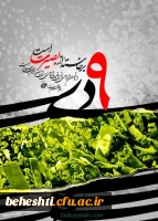 نهم دی؛ تجلی بصیرت، ایمان و وفاداری به آرمان های انقلاب اسلامی 2